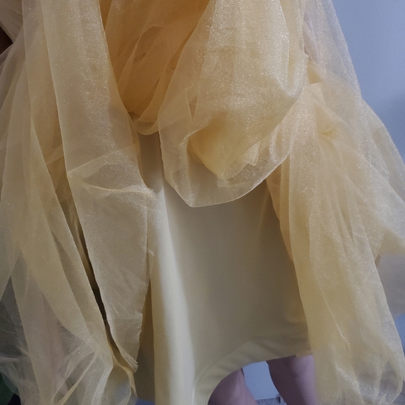 Mini Tulle Dress - Picture 10 of 16